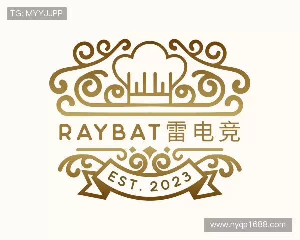 了解raybat雷电竞